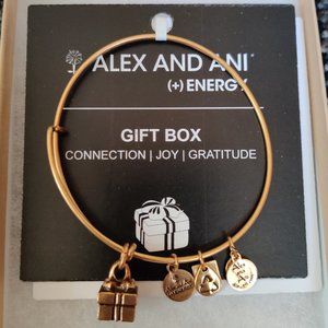 NWT Alex and Ani Gift Box Bangle Rafaelian Gold Charm Adjustable Bracelet